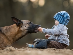 Dziecko, Pies, Owczarek belgijski malinois